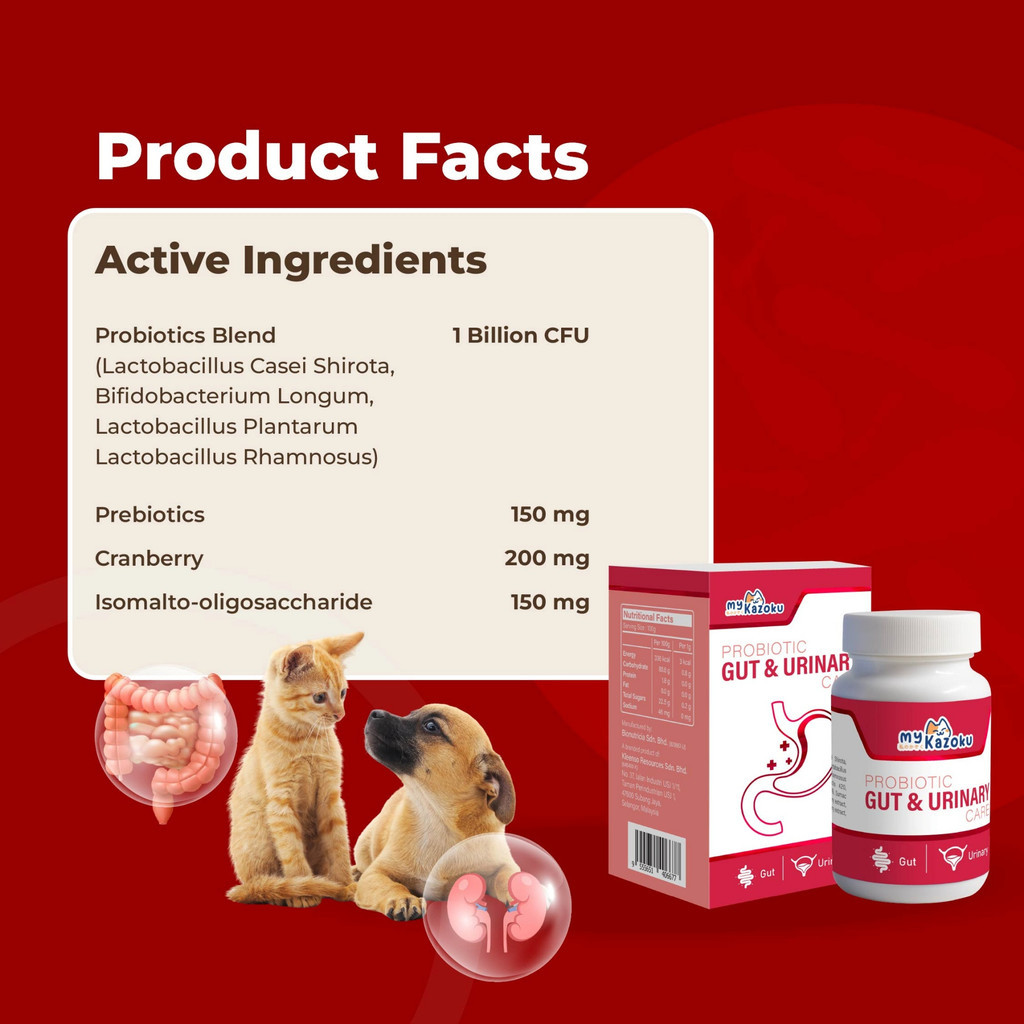 myKazoku Probiotics Gut and Urinary Care 2g x 20 Sachet Digestive UTI Kidney Support for Dogs Cats - Image 7