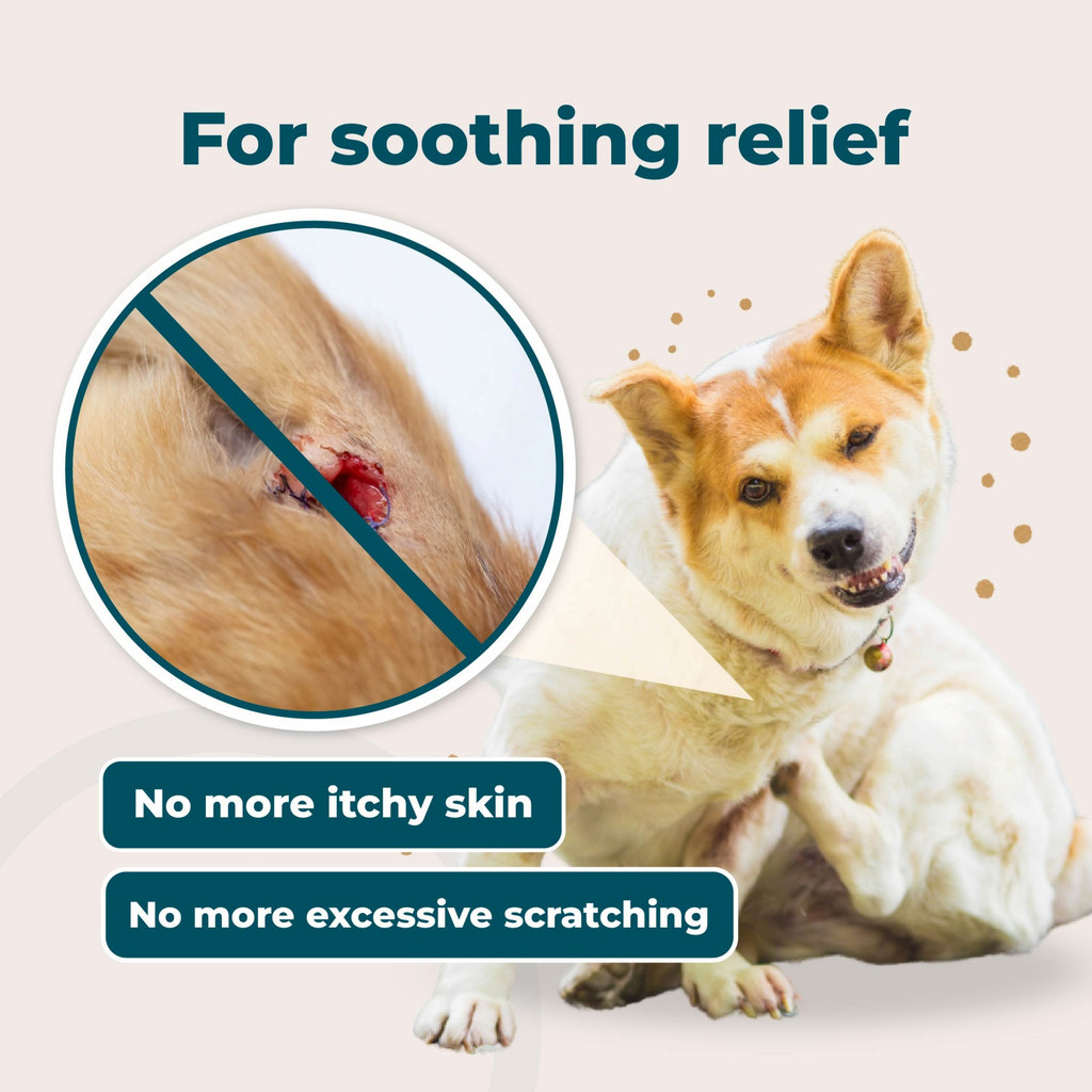 myKazoku Wound and Skin Care 100ml Antibacterial Antifungal Spray for Dogs Cats Itchy Skin Relief - Image 5