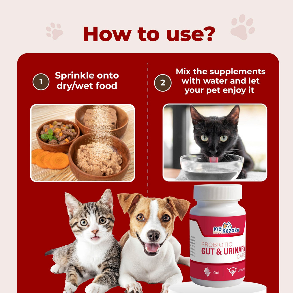 myKazoku Probiotics Gut and Urinary Care 2g x 20 Sachet Digestive UTI Kidney Support for Dogs Cats - Image 9