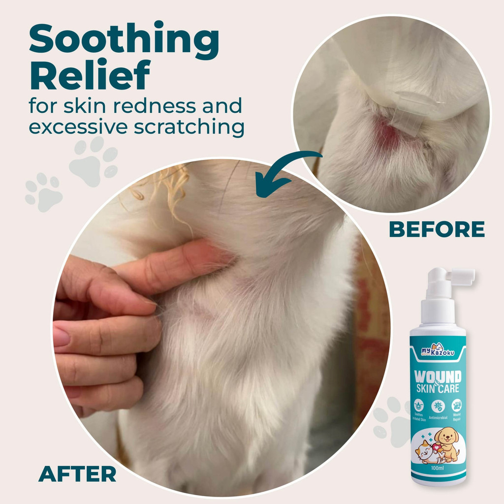 myKazoku Wound and Skin Care 100ml Antibacterial Antifungal Spray for Dogs Cats Itchy Skin Relief - Image 8