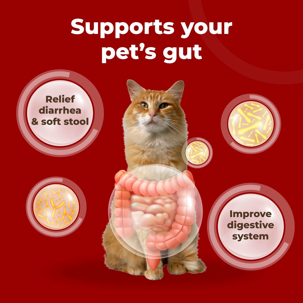 myKazoku Probiotics Gut and Urinary Care 2g x 20 Sachet Digestive UTI Kidney Support for Dogs Cats - Image 4