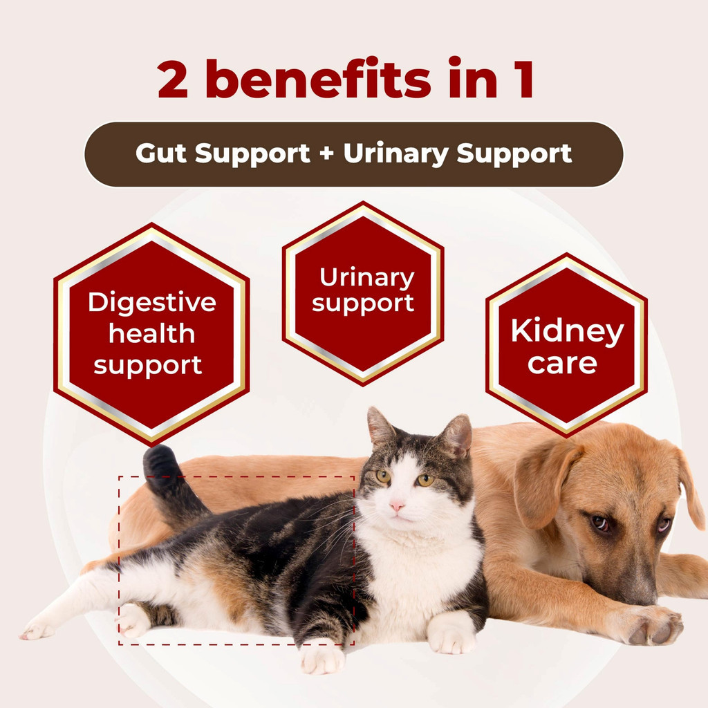 myKazoku Probiotics Gut and Urinary Care 2g x 20 Sachet Digestive UTI Kidney Support for Dogs Cats - Image 3