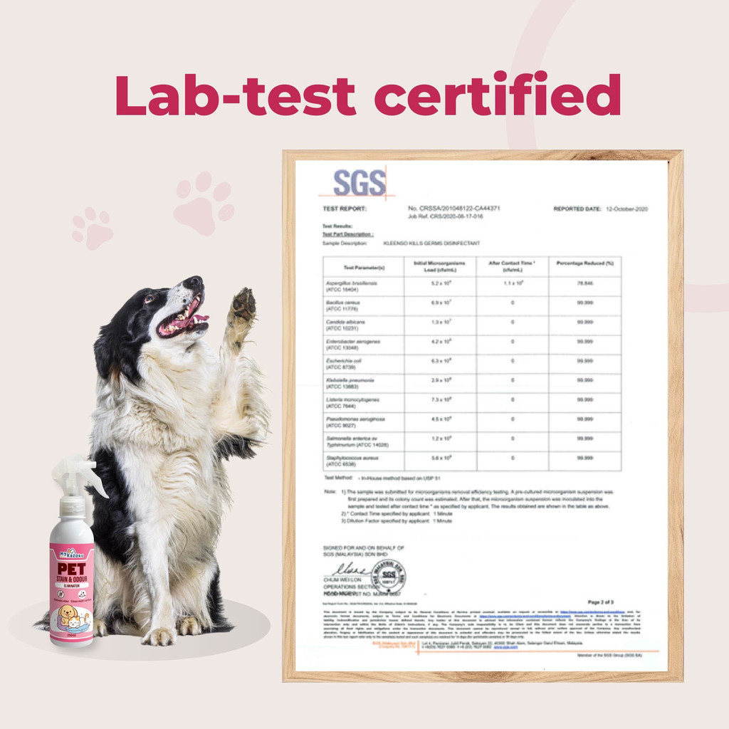 myKazoku Pet Stain and Odour Eliminator 250ml Anti Bacterial Removes Urine Smell for Home - Image 6