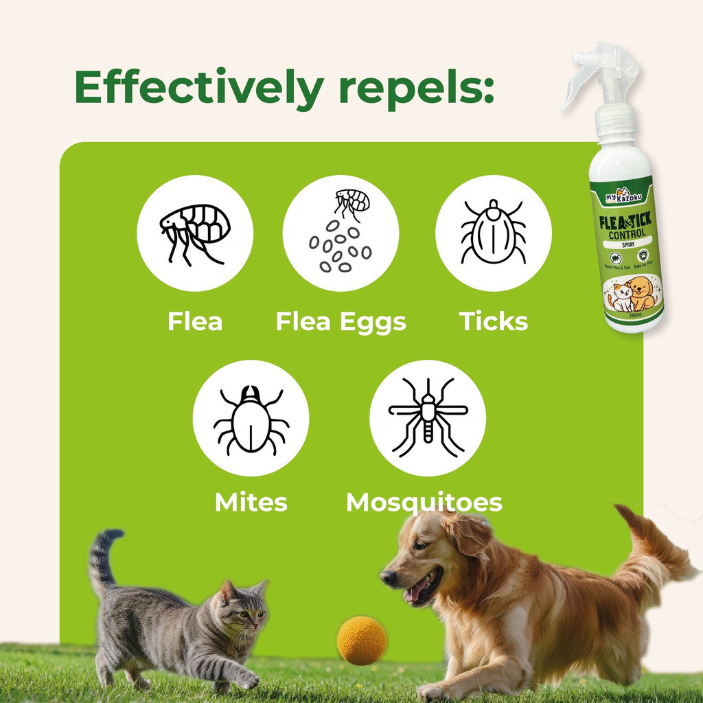 myKazoku Flea and Tick Control Spray 250ml Repels Mites Lice Mosquitoes Safe for Dogs Cats - Image 4