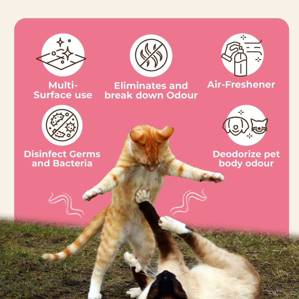myKazoku Pet Stain and Odour Eliminator 250ml Anti Bacterial Removes Urine Smell for Home - Image 3