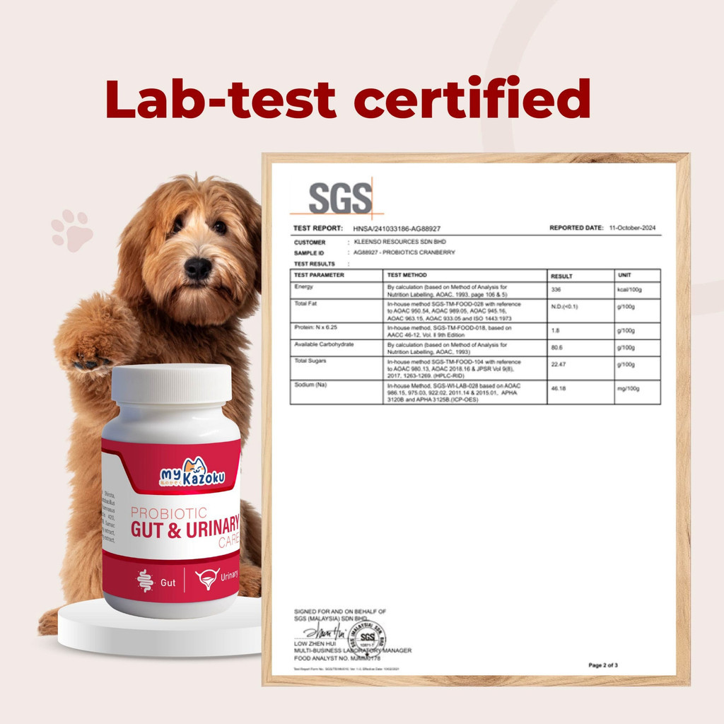 myKazoku Probiotics Gut and Urinary Care 2g x 20 Sachet Digestive UTI Kidney Support for Dogs Cats - Image 8