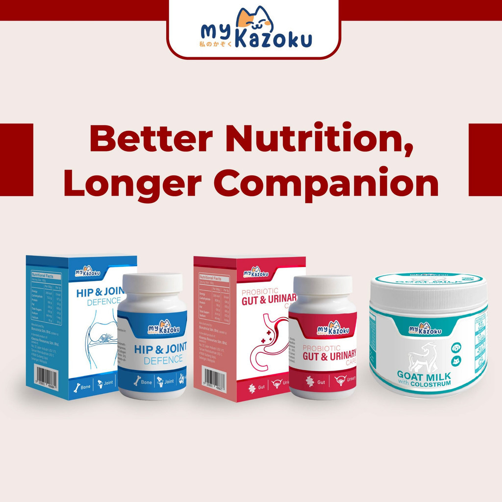 myKazoku Probiotics Gut and Urinary Care 2g x 20 Sachet Digestive UTI Kidney Support for Dogs Cats - Image 10