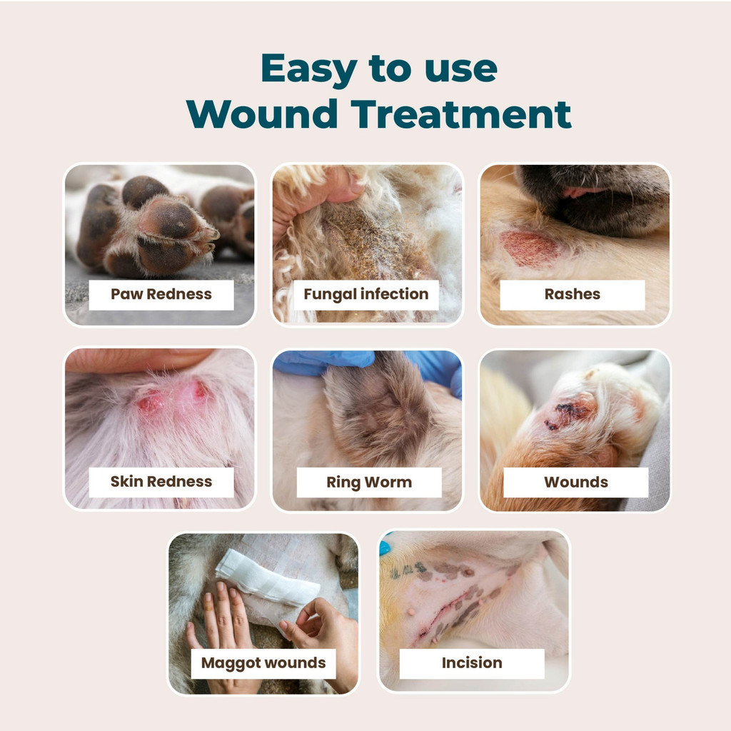 myKazoku Wound and Skin Care 100ml Antibacterial Antifungal Spray for Dogs Cats Itchy Skin Relief - Image 2