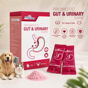 myKazoku Probiotics Gut and Urinary Care 2g x 20 Sachet Digestive UTI Kidney Support for Dogs Cats