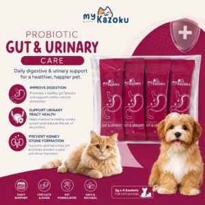 myKazoku Probiotics Gut and Urinary Care D r (2G x 4 Sachet) Trial Sachet Digestive UTI Kidney Support Pet Supplement